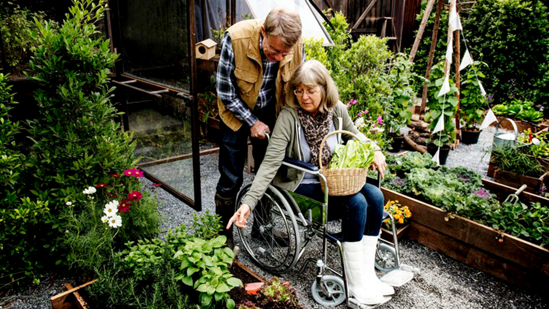 Gardening and home maintenance